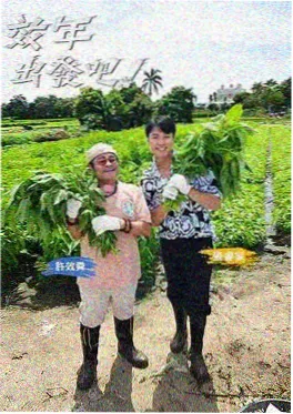 正大综艺